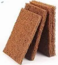 Coir Scrubber Pad