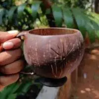 Coconut Shell Articles