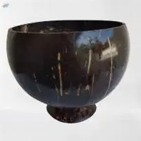 Coco Shell Articles