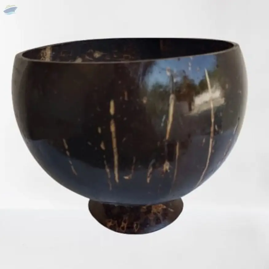 Coco Shell Articles
