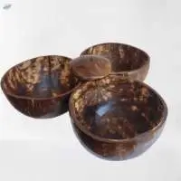 Coco Shell Articles