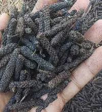 Madura Long Pepper Wholesale