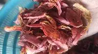 Mace Siau Export Grade Quality