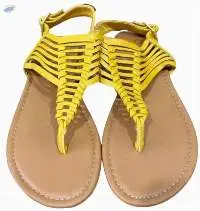 F002 Slipper