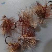 Dry Flies