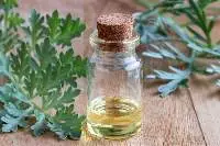 Davana Oil