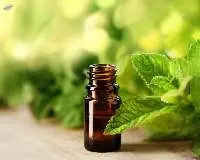 Spearmint
