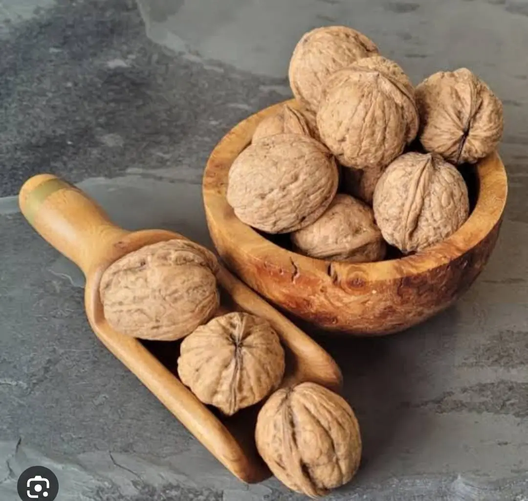 Walnut
