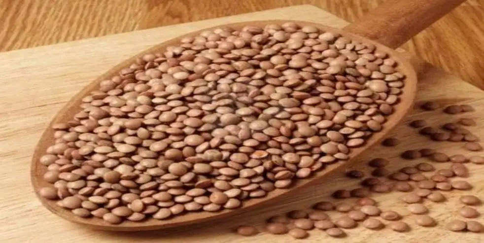 Spiced-Brown-Lentils