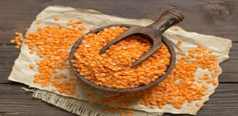 Red-lentil