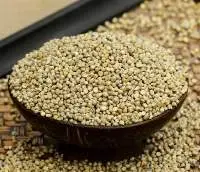 Pearl-Millet