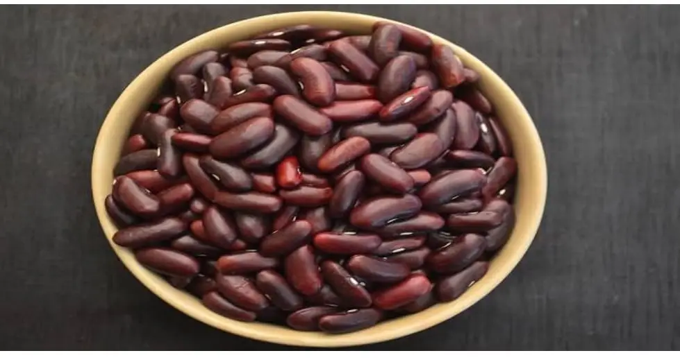 Kidney-beans