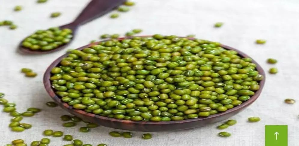 Green-Gram-Beans
