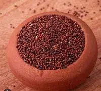 Finger-millet
