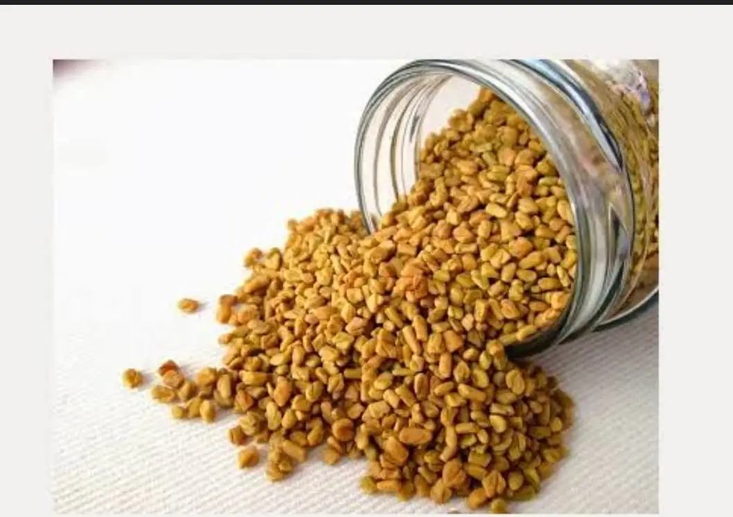Fenugreek-Seeds