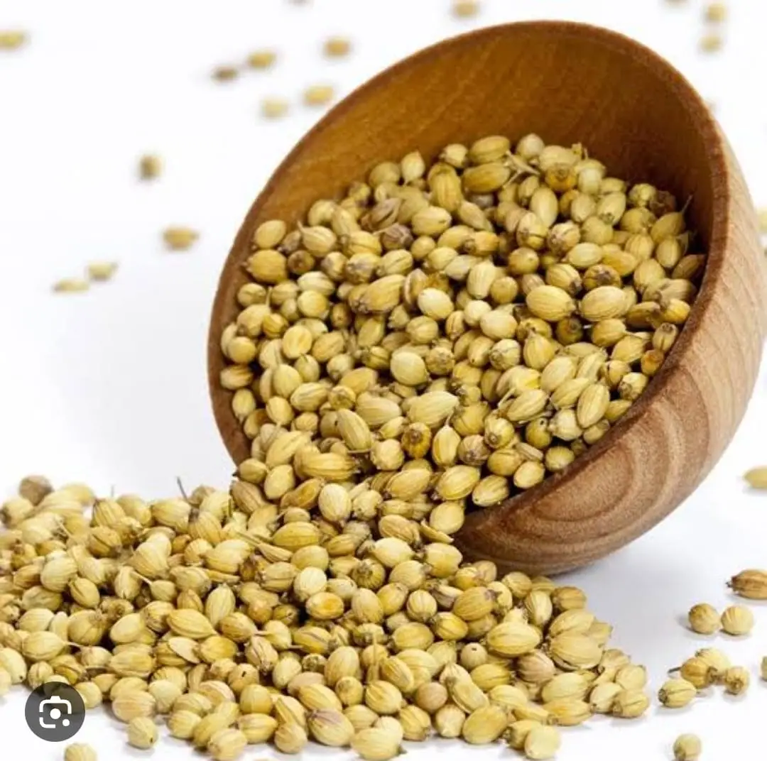 Coriander-seeds