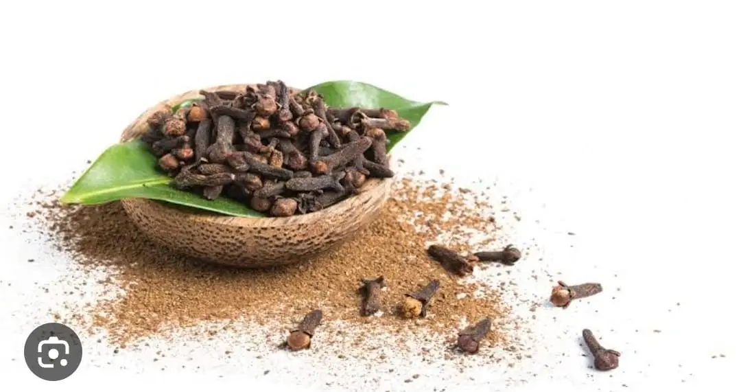 Clove