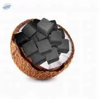 Premium Shisha Briquette