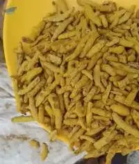 Turmeric Finger Medium