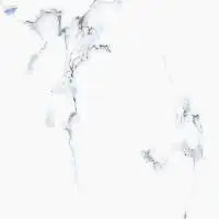 1034 Ebru Grey (600x600MM) Tiles