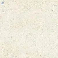 1048 Evita Beige Glossy (600X600Mm) Tiles