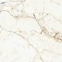 1049 Florencia Glossy (600X600Mm) Tiles