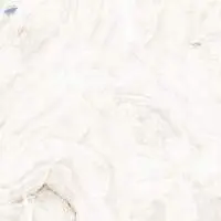 Pearl White Glossy (600 x 1200 MM) Tiles