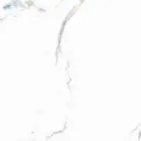 Torreance White Glossy (600 x 1200 MM) Tiles