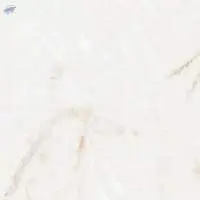 Arlon Bone Glossy (1200 x 1200 MM) Tiles