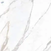 Calacatta Rorghint Glossy (1200 x 1200 MM) Tiles