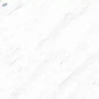 Carrara White Glossy (1200 x 1200 MM) Tiles