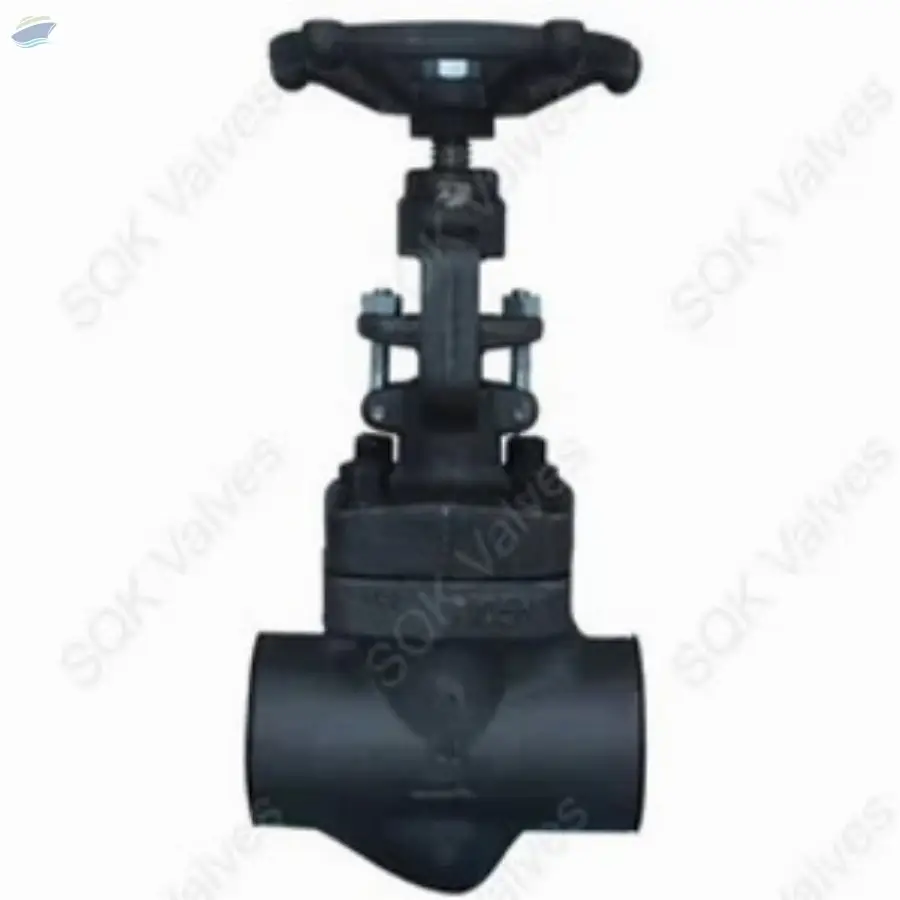 Globe Valve Class 800
