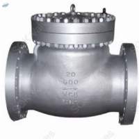 Swing Check Valve Class 600