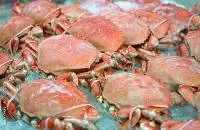 Red Crab