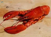 Red Lobster