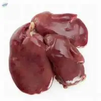 Frozen Chicken Liver - Chicken Offal