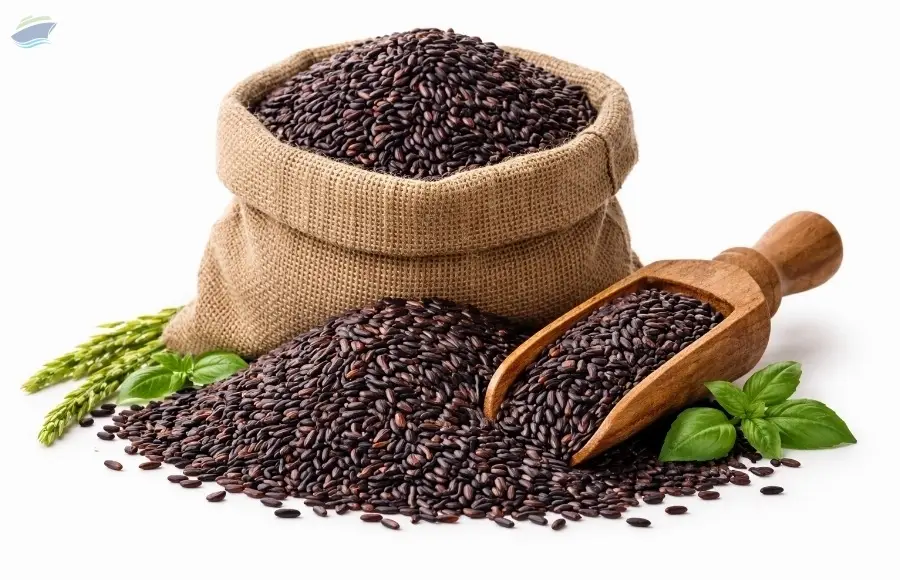 Black Rice