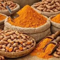 Turmeric Powder