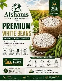 White Kidney Bean
