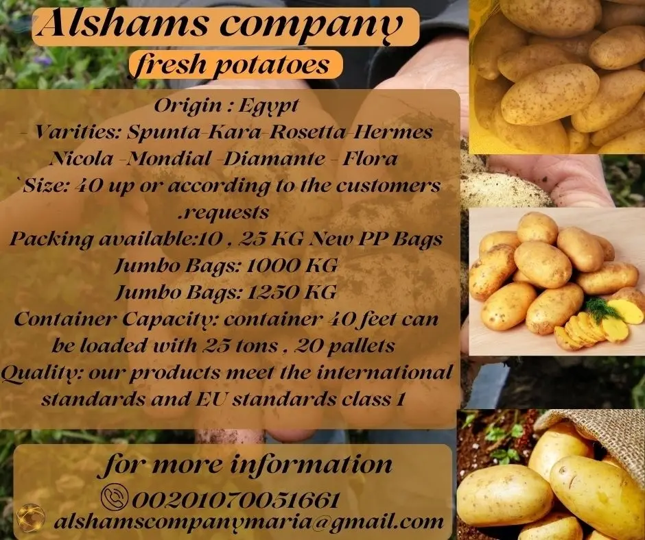 Fresh Potato