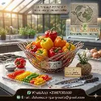 Fresh Pepper