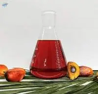 Palm Product