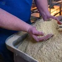 Soybeans Meal