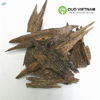 Ant Wood Oud Chips Super Special AAA+ - AOW1