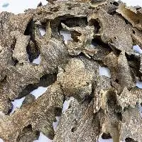 Oud Wood Chips Grade Special AA+ - OWC2