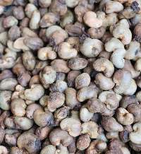 Raw Cashew Nut