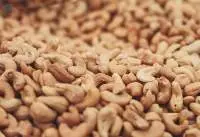 Cashew Nuts