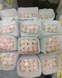 Fresh Cut Sweet Revival Rose