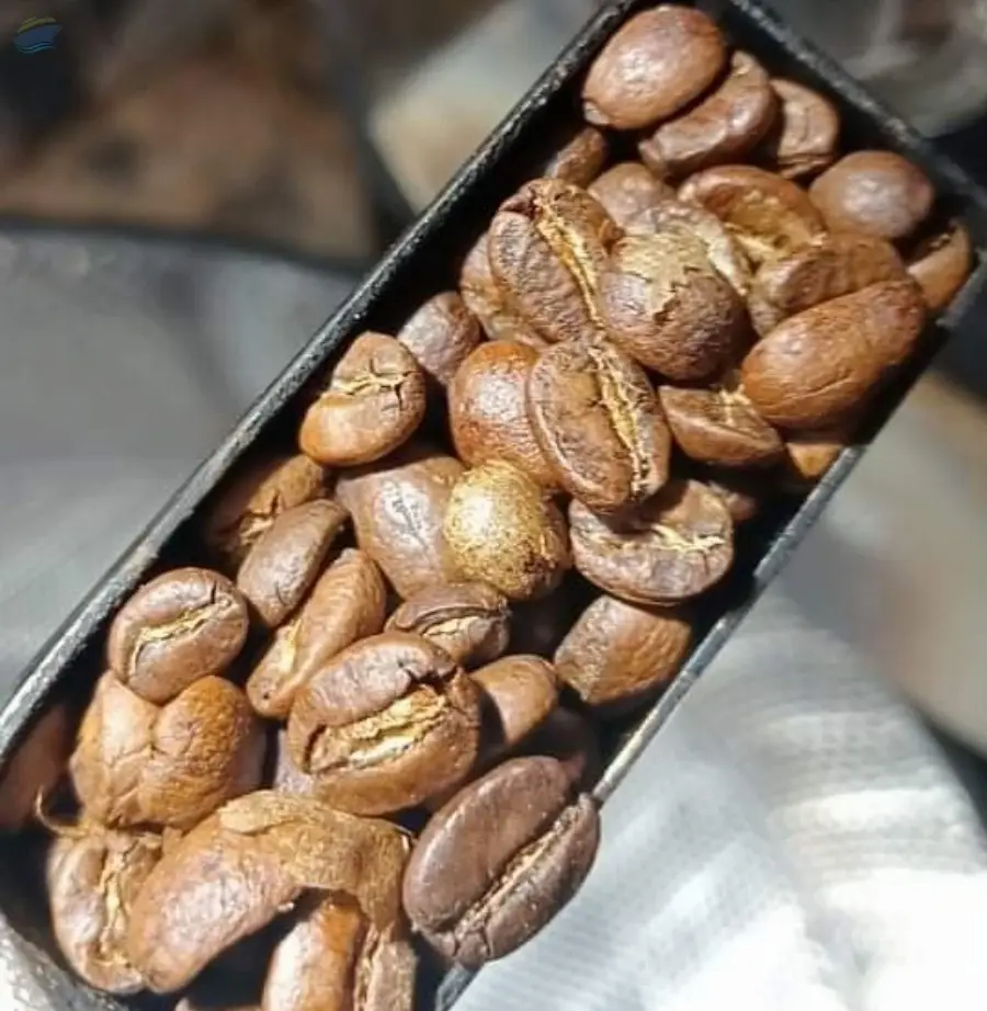 Roasted Arabica And Robusta Coffee Bean
