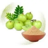 Amla Powder